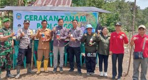 Pemkab Murung Raya Galakkan Gerakan Tanam Padi Gogo untuk Perkuat Ketahanan Pangan
